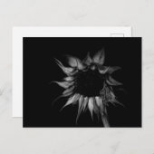 Sonnenblume - Kunstfotografie Postkarte (Vorne/Hinten)