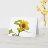 Sonnenblume küsst den Himmel Karte (Gelbe Blume)