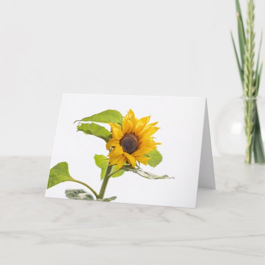 Sonnenblume küsst den Himmel Karte (Vorderseite)