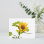 Sonnenblume küsst den Himmel Postkarte (Stehend Vorderseite)