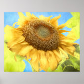 Sonnenblume Land Rustikal Gelbe Farbe Poster (Vorne)