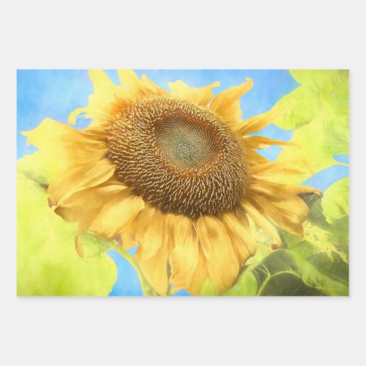 Sonnenblume Land Rustikales Gelbes Wasser Geschenkpapier Set (Vorderseite)