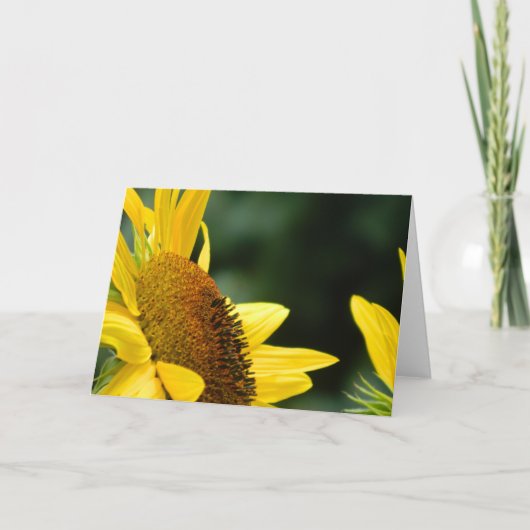 Sonnenblume-leere Gruß-Karte Karte (Vorderseite)