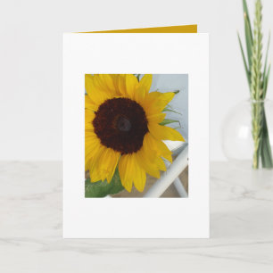 Sonnenblume-leere Karte
