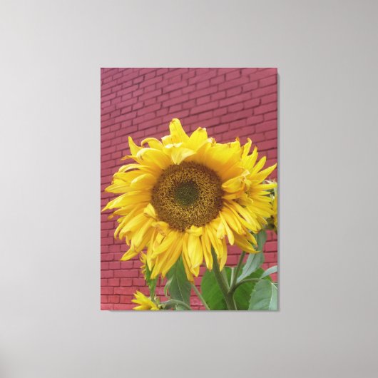 Sonnenblume-Leinwand Leinwanddruck (Vorderseite)
