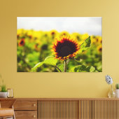 Sonnenblume Leinwanddruck (Insitu (Wohnzimmer))