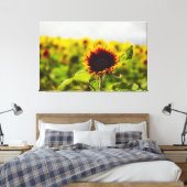 Sonnenblume Leinwanddruck (Insitu (Schlafzimmer))