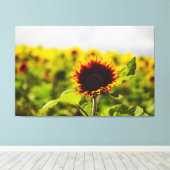 Sonnenblume Leinwanddruck (Insitu (Holzboden))