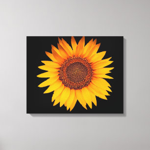 Sonnenblume Leinwanddruck