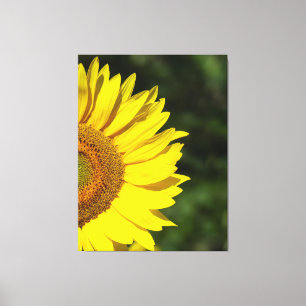Sonnenblume Leinwanddruck