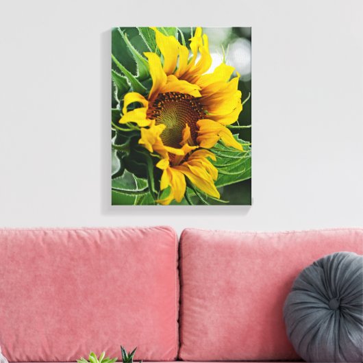 Sonnenblume Leinwanddruck (Insitu (Wohnzimmer))