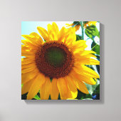 Sonnenblume Leinwanddruck (Vorderseite)