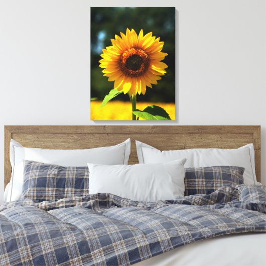 Sonnenblume Leinwanddruck (Insitu (Schlafzimmer))