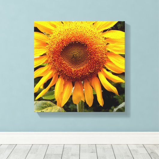 Sonnenblume Leinwanddruck (Insitu (Holzboden))