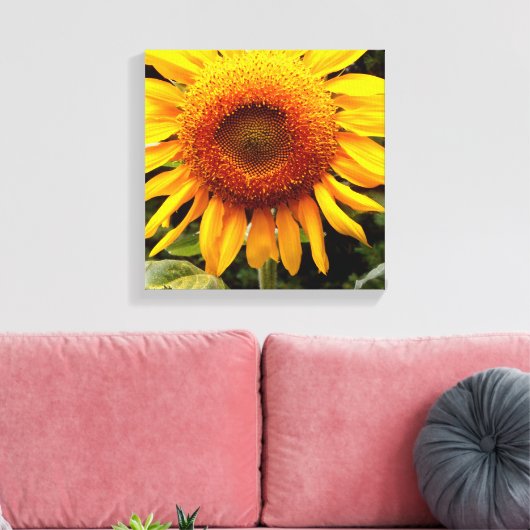Sonnenblume Leinwanddruck (Insitu (Wohnzimmer))