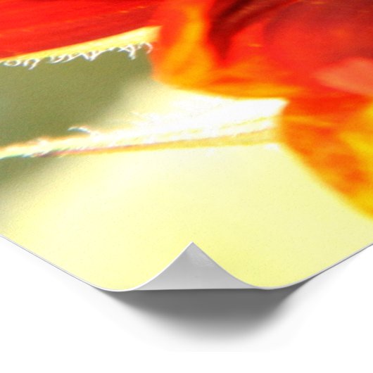 Sonnenblume Liebe 1 Poster (Ecke)