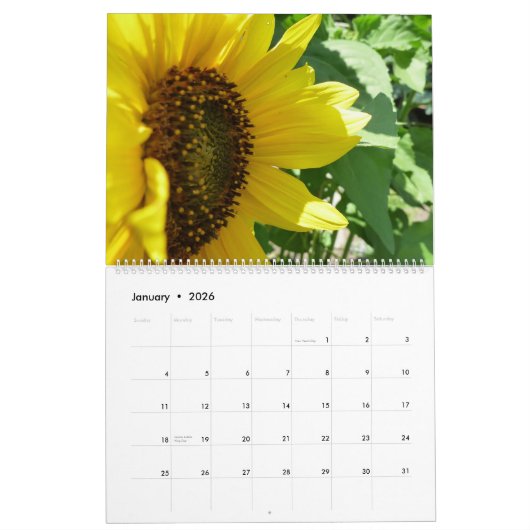 Sonnenblume-Liebe Kalender (Jan 2026)