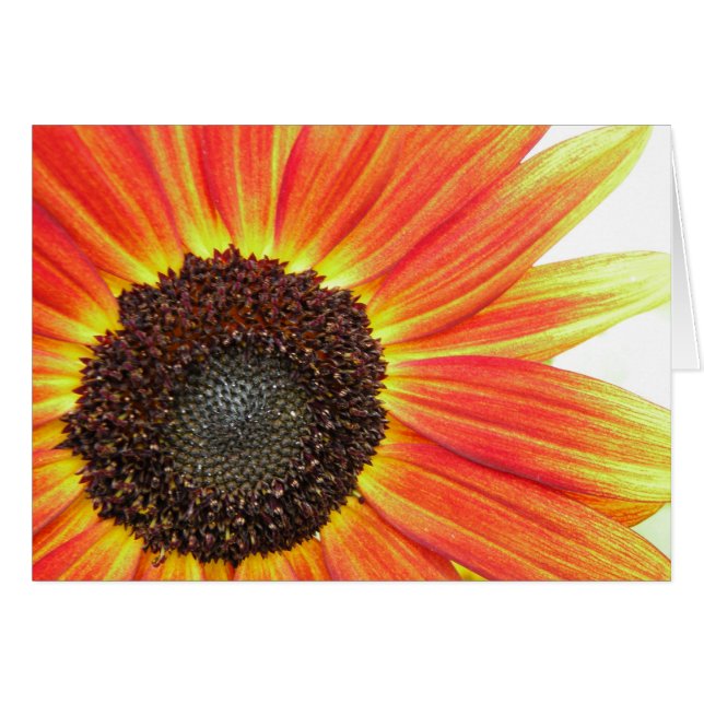 Sonnenblume-Liebe - Sie erhellen meinen Tag (Vorderseite (Horizontal))
