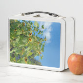 Sonnenblume Lunchbox (Beispiel)