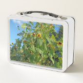 Sonnenblume Lunchbox (Rückseite)
