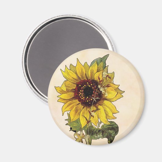 Sonnenblume Magnet (Vorderseite/Rückseite)