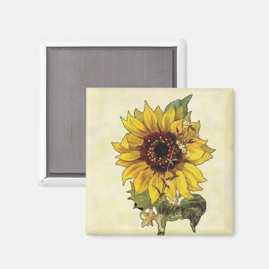 Sonnenblume Magnet (Vorderseite/Rückseite)