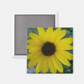 Sonnenblume Magnet (Vorderseite/Rückseite)