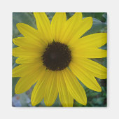 Sonnenblume Magnet (Vorne)