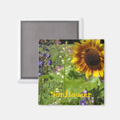Sonnenblume Magnet (Vorderseite/Rückseite)