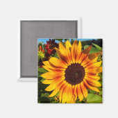 Sonnenblume Magnet (Vorderseite/Rückseite)