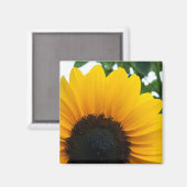Sonnenblume Magnet (Vorderseite/Rückseite)