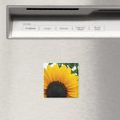 Sonnenblume Magnet (In Situ (Geschirrspüler))