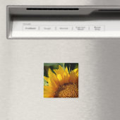 Sonnenblume Magnet (In Situ (Geschirrspüler))