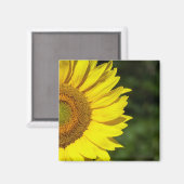 Sonnenblume Magnet (Vorderseite/Rückseite)