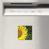 Sonnenblume Magnet (In Situ (Geschirrspüler))