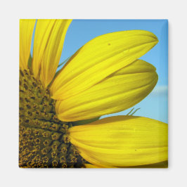 Sonnenblume Magnet
