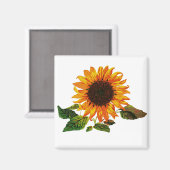 Sonnenblume Magnet (Vorderseite/Rückseite)