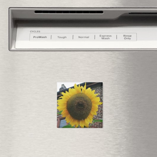 Sonnenblume Magnet (In Situ (Geschirrspüler))
