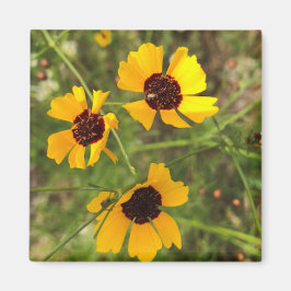 Sonnenblume Magnet
