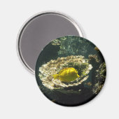 Sonnenblume Magnet (Vorderseite/Rückseite)