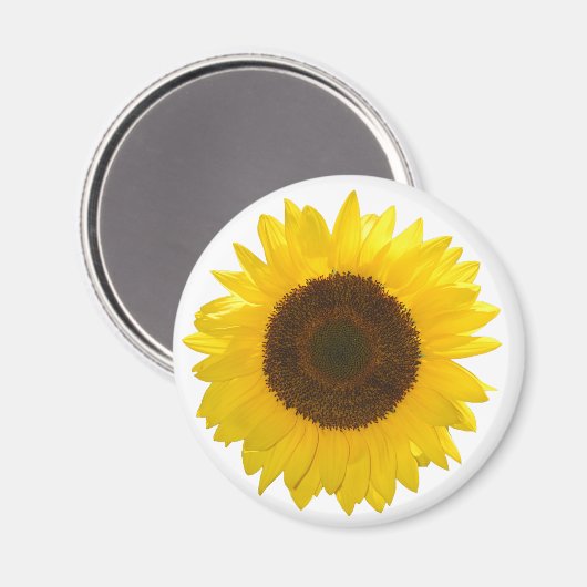 Sonnenblume Magnet (Vorderseite/Rückseite)
