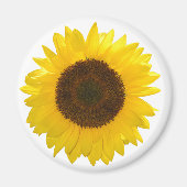 Sonnenblume Magnet (Vorne)