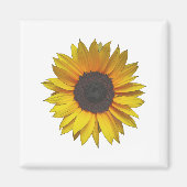 Sonnenblume Magnet (Vorne)