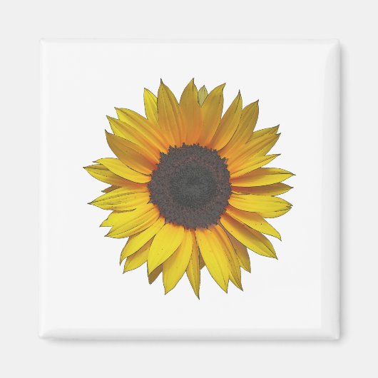 Sonnenblume Magnet (Vorne)