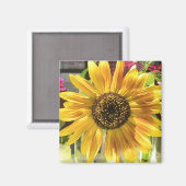 Sonnenblume Magnet (Vorderseite/Rückseite)