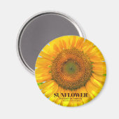 Sonnenblume Magnet (Vorderseite/Rückseite)