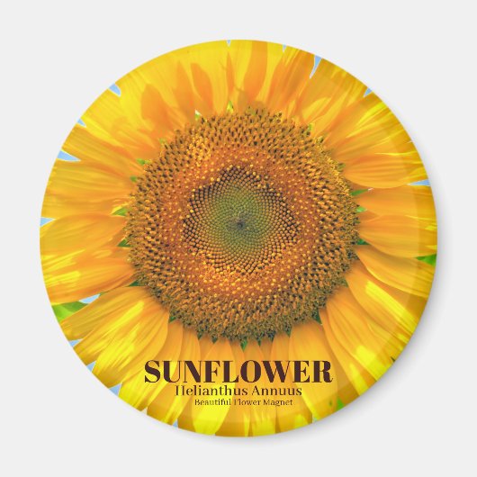 Sonnenblume Magnet (Vorne)