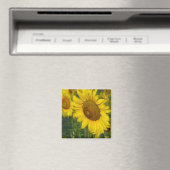 Sonnenblume Magnet (In Situ (Geschirrspüler))
