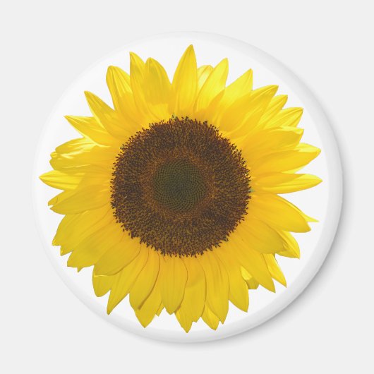 Sonnenblume Magnet (Vorne)