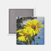 Sonnenblume Magnet (Vorderseite/Rückseite)
